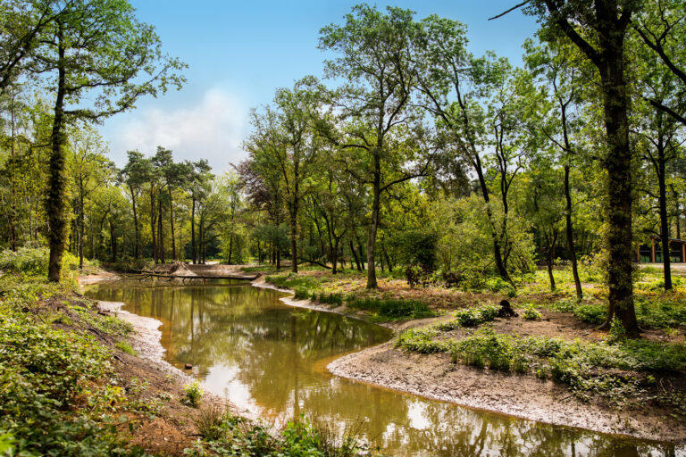 Landgoed Christinalust - afbeelding vergroten