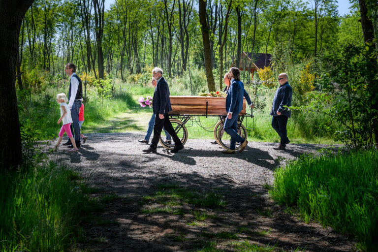  - afbeelding vergroten